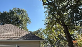 Tree Removal for Hawkins Tree Service & Land Management in Richmond Hill, GA