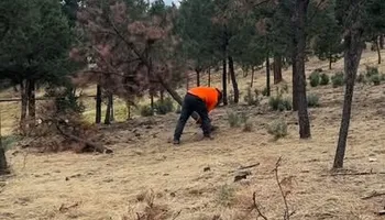 Weeding for G&B Yard Service in Ruidoso Downs, NM