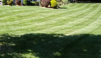 Landscaping for Grassy Turtle Services, LLC.  in Oxford, CT