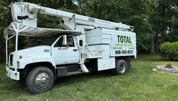 Tree Removal for Total Tree Service in Washington, NJ