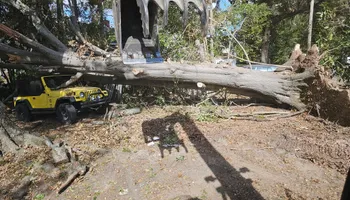 Land Clearing & Demolition for D&S Tree and Demolition Services in Laurens, SC