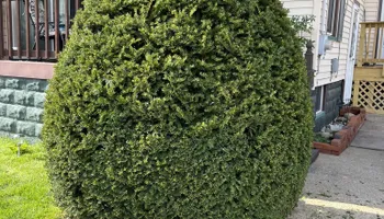 Lawn Care & Maintenance for Wilt Landscaping in Greenville, PA