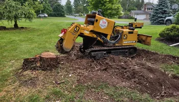 Residential Tree Services for TH Property Service, LLC in Manlius, NY