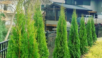 Hardscapes for Precise Landscape and Irrigation Solutions in Metro Atlanta, GA