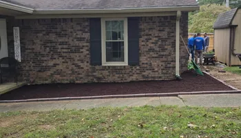 Tree Removal for Optimum Tree Service And Landscaping in Bowling Green, KY