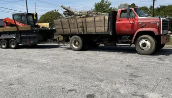 Tree Removal for Thompson Tree Climbers, LLC in Lexington, SC