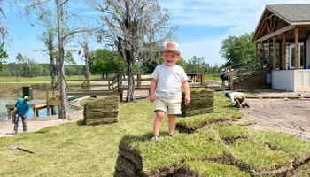 Sod Installation for Roberts Lawn & Landscape in Steinhatchee, FL
