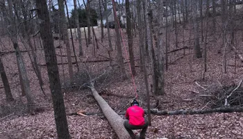 Tree Removal for Hickory Ridge Tree Service in Roxboro, NC