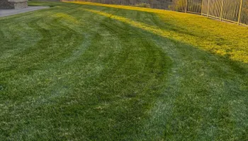 Lawn Maintenance for Sale Property Services in Montrose, CO