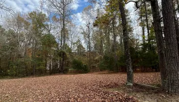 Lawn Maintenance for C + C Landscaping in Chesterfield, VA