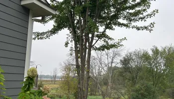 Tree Removal for Allstate Tree Service and Crane in Minneapolis, MN