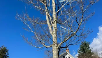 Residential Clear Outs for Bruce's Removal Demolition and Tree Services in Gilsum, NH
