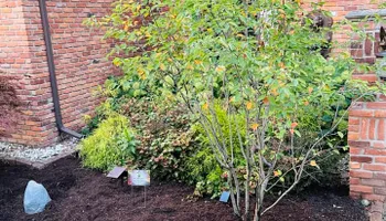Softscaping Design & Installation for Mulch & Dig in West Bloomfield Township, MI