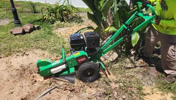 Tree Trimming for Highlife Tree Care And Landscaping in Altamonte Springs, FL