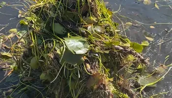 Snow Removal for JT’s Underwater Landscaping in Brainerd, MN