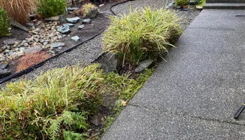 Fall Clean Up for Juan Esteban Landscape service LLC  in Bonney Lake, WA