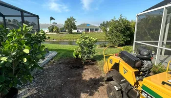 Tree Removal for MX Trees LLC in Englewood, FL