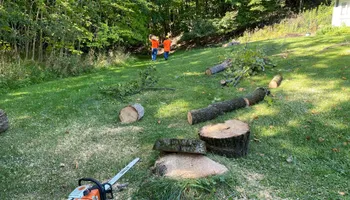 Tree Removal for Highborn Tree Service in Wheatfield, IN