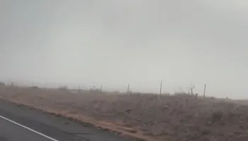 Weeding for G&B Yard Service in Ruidoso Downs, NM