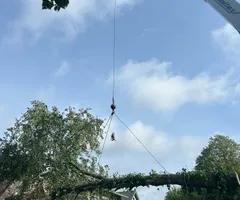 Tree Removal for Allstate Tree Service and Crane in Spring Lake Park, MN