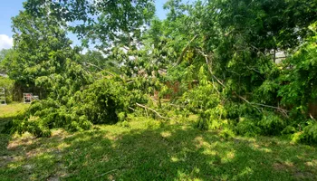 Tree Trimming for Highlife Tree Care And Landscaping in Altamonte Springs, FL