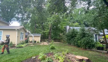 Tree Removal for MTJ Tree Removal LLC in Zebulon, NC