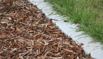 Tree Removal for Global Tree Specialist in Huffman, TX