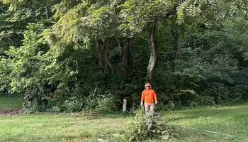 Tree Removal for Cross Family Tree Service in Kearney, MO
