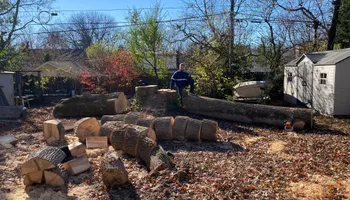 Tree Removal for Houtz Tree Service in Lexington, KY