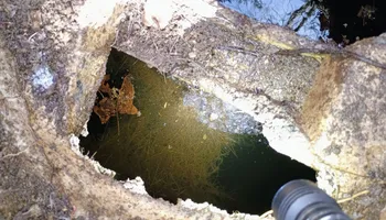 Septic Tank Cleaning for Cody's Excavation and Septic in Plainville, CT