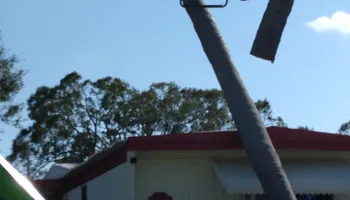 Stump Grinding for Busy Beaver Stump Removal, Inc in Clearwater, FL