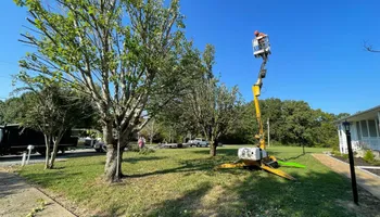 Tree Removal for Ross Family Tree Service LLC  in Hohenwald, TN