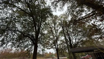 Land Clearing for Mud Creek Vegetation Management in Russellville, AL