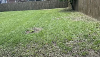 Lawn Maintenance for Trinity Landscapes  in Lumberton, NC