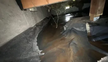 Water Mitigation for No Fear Restoration LLC in Port Angeles, WA