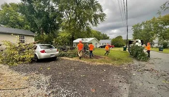 Tree Removal for Ross Family Tree Service LLC  in Hohenwald, TN