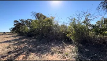 Land Clearing for D&D Custom Services in Jacksboro,  TX