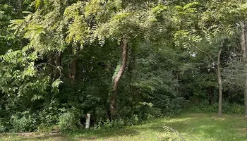 Tree Removal for Cross Family Tree Service in Kearney, MO
