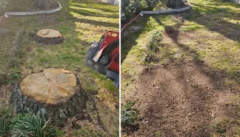 Stump Grinding for Anchor & Grind Stump in Chesapeake, VA