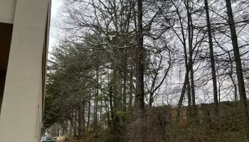 Tree Removal for J&M Stump Grinders LLC in Douglasville, GA