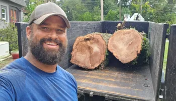 Tree Removal for Near Me Tree Service, Inc. in DeLand, FL