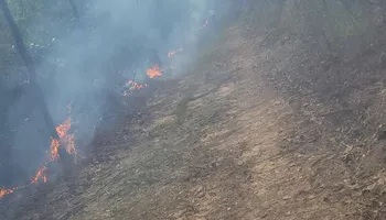 Land Clearing for Davis Landworx in Clanton,  AL