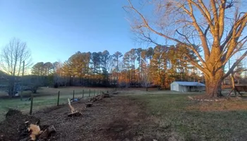 Tree Removal for MTJ Tree Removal LLC in Zebulon, NC