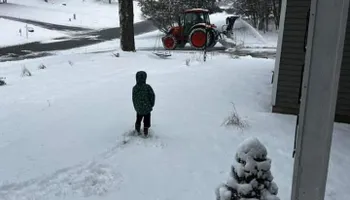 Residential Tree Services for TH Property Service, LLC in Manlius, NY