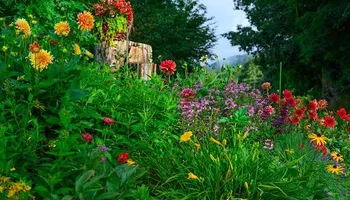 Mowing for Sustainable Property Services in Banner Elk, NC
