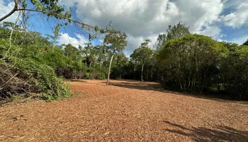 Land Clearing for McLeran in Naples, FL