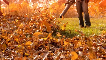 Tree Removal for Global Tree Specialist in Huffman, TX