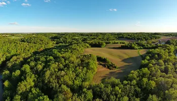Wildlife & Hunting Property Management for Bluffside Forestry in Cedar Rapids, IA