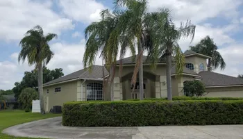 Tree Removal for Regal Tree Service and Stump Grinding in Wauchula, FL