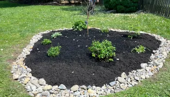 Tree Removal for Tree ReLeaf in Manalapan, NJ